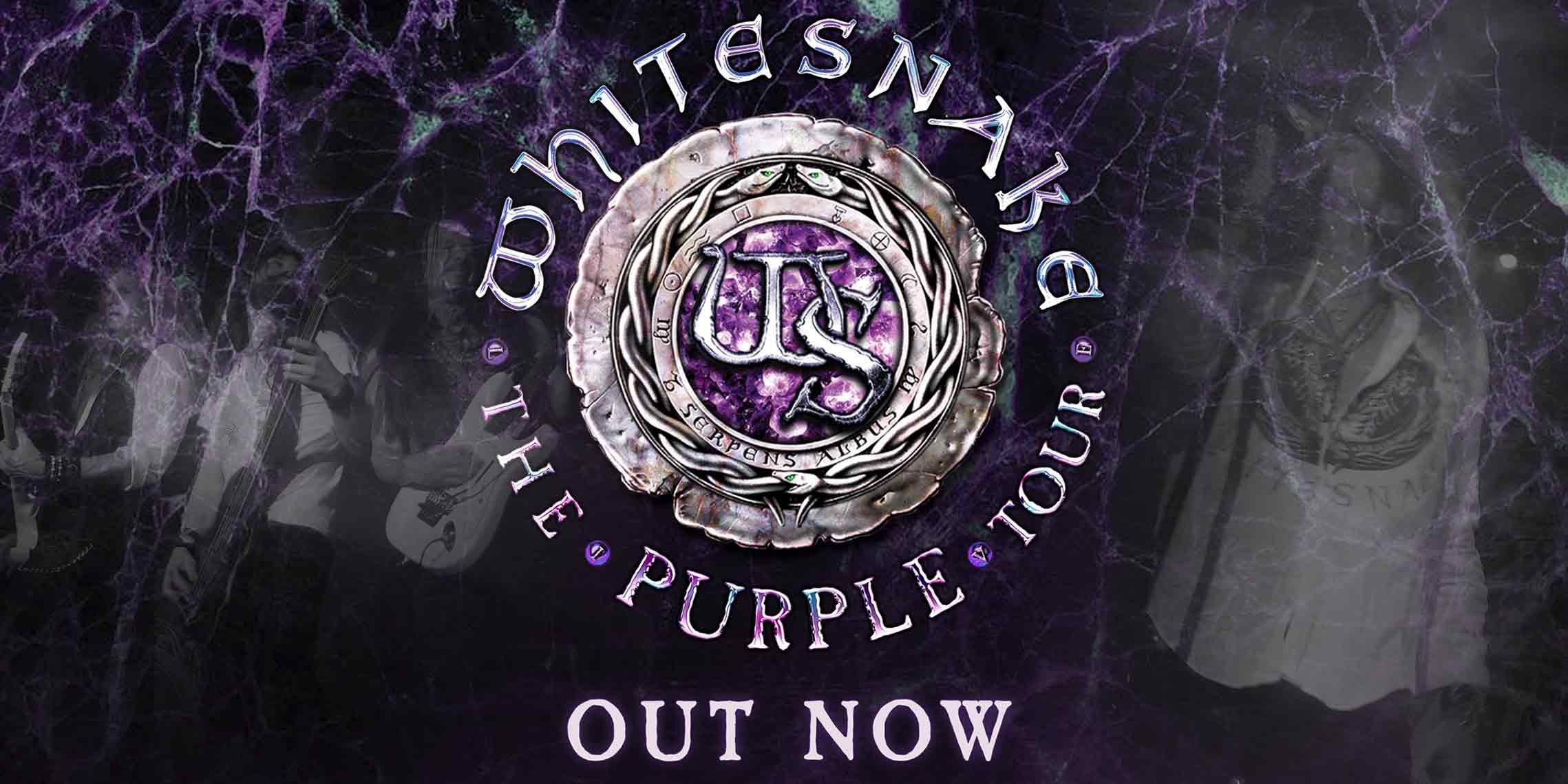 新品未使用 WHITESNAKE / THE PURPLE ALBUM 2LP Whitesnake Purple Album - Niska cena na Allegro